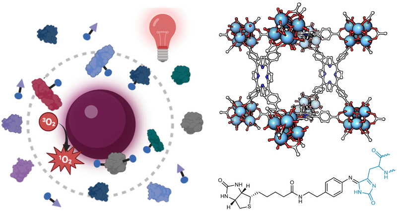 2025: Photocatalytic Nanoscale Metal-Organic Frameworks for Proximity Labeling in Living Cells