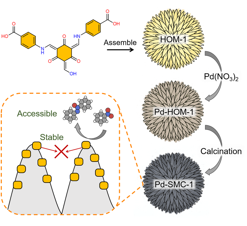 2026: Spike-Embedded Nanocatalysts via Metal-Directed Carbonization for Highly Efficient and Robust Semi-Hydrogenation
