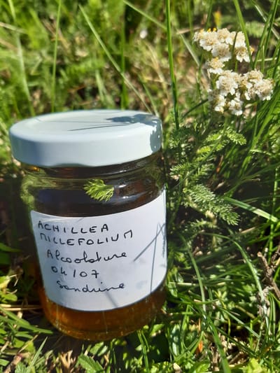 Connaissez-vous les alcoolatures et les teintures-mères ?