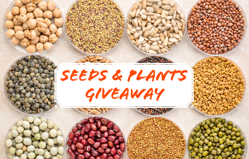 Seeds and Plants Giveaway - September