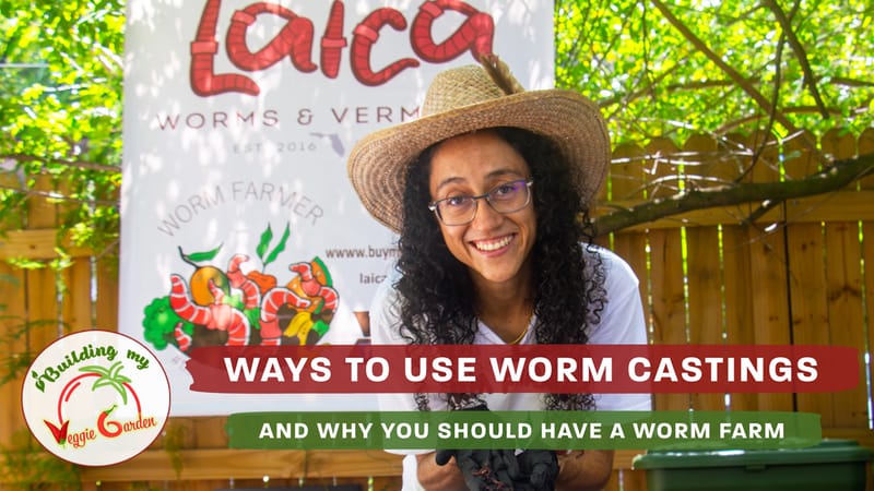 Worm Farming with @LaicaWorms