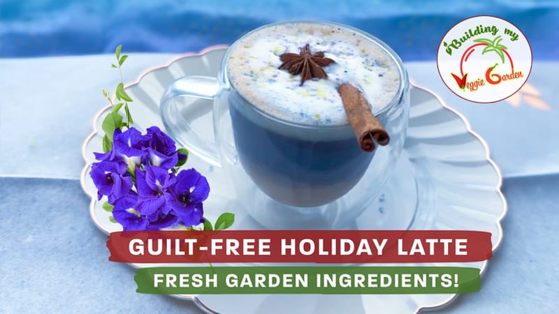 Indulge guilt-free with our Holiday Latte!
