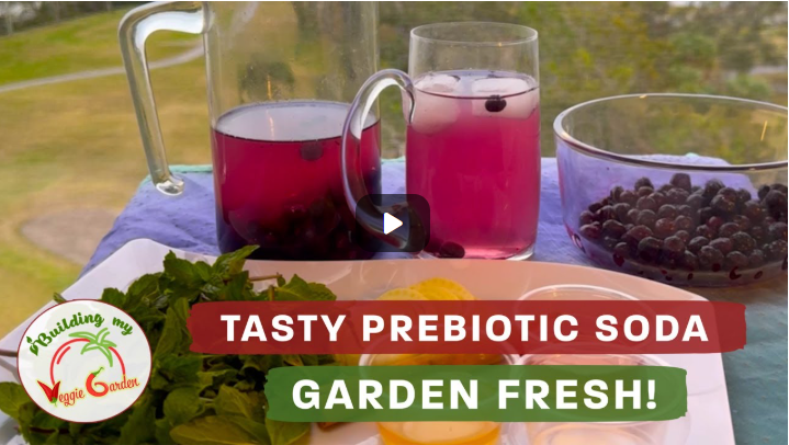 Homemade prebiotic soda for less than half the price of commercial prebiotic soda