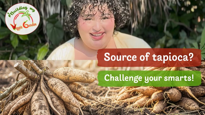 Yuca? or Cassava? what is this root vegetable?