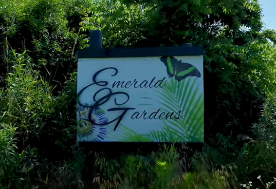 Click here to view Promo YouTube Video for Memory Gardens Orchard Project
