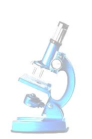 ANTHROPOMETRIC ASSESSMENT