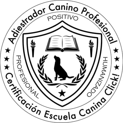 FORMACIÓN image