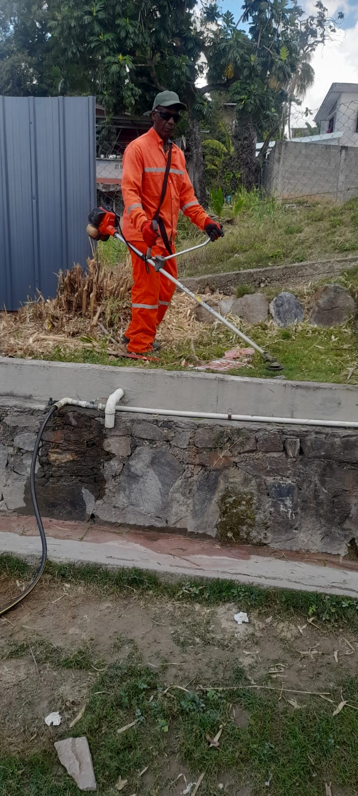 Lawn Mowing / Brush Cutting