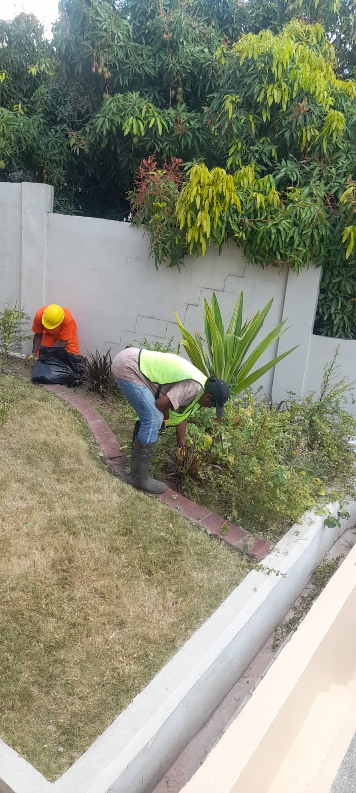 Lawn Mowing / Brush Cutting