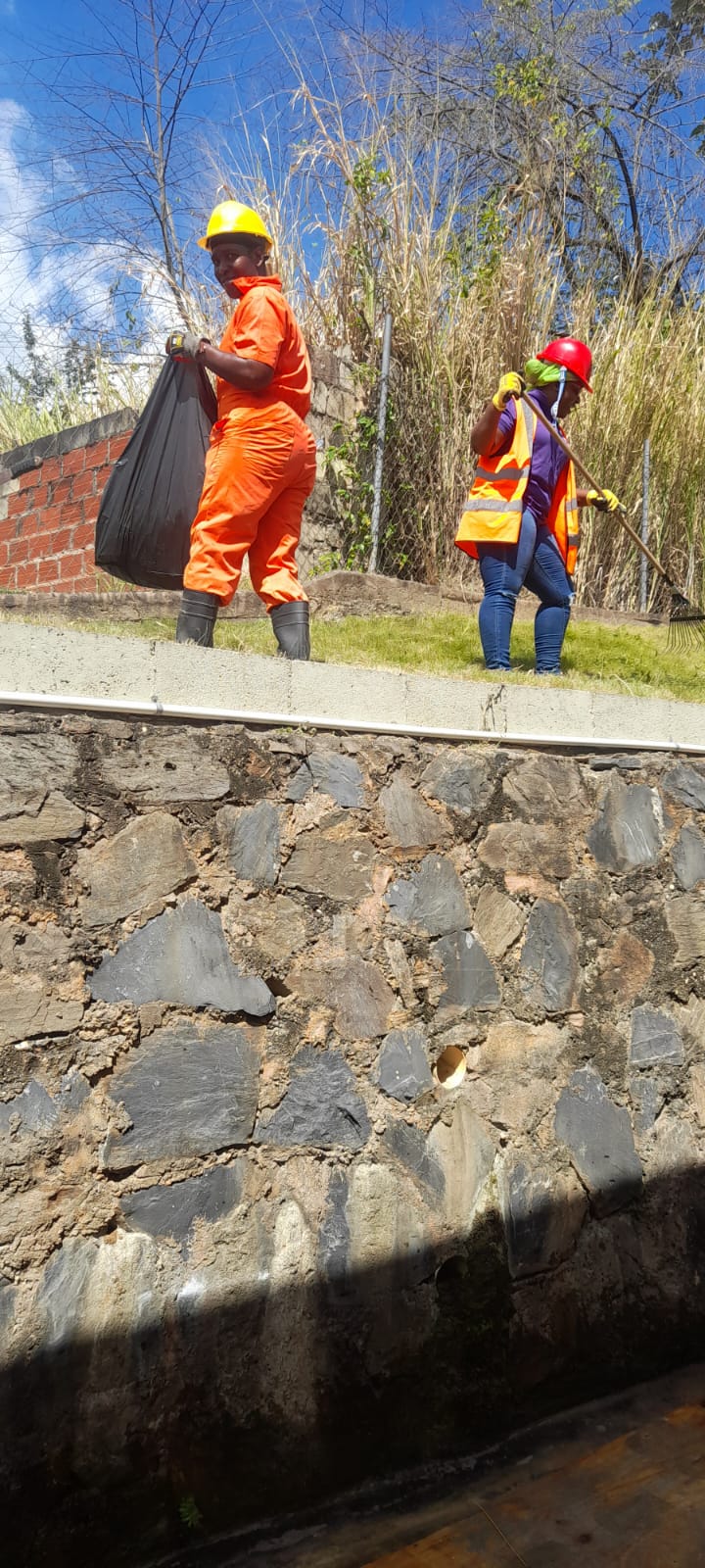 Lawn Mowing / Brush Cutting