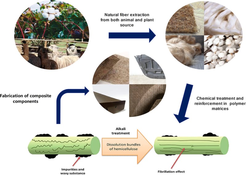 Harnessing Nature for High-Performance Materials: Our Latest Review Explores the Future of Natural Fiber Composites