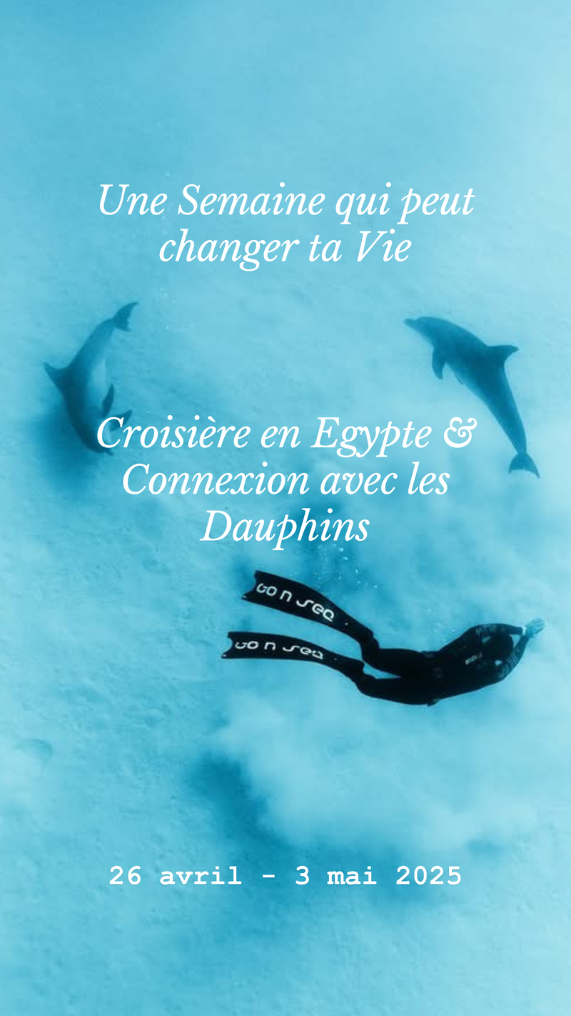 Croisière Egypte Dauphins