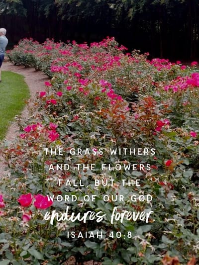 Receive God's Healing Power Through Faith