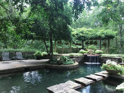 "Abundance Beyond Imagination"