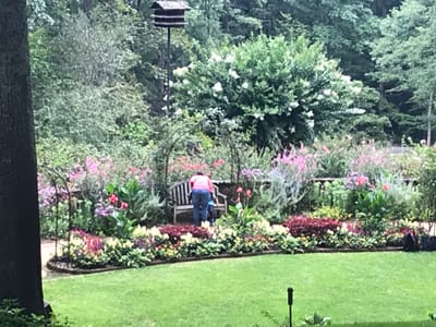 Open Your Mouth Wide