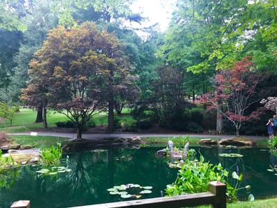 The Path to True and Lasting Joy