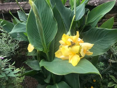 The Daily Posture of the Righteous!