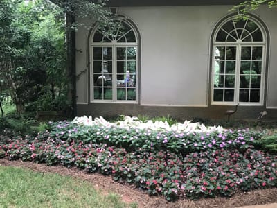 God’s Kind Of Life