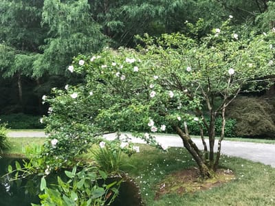 God’s Life Is In You!