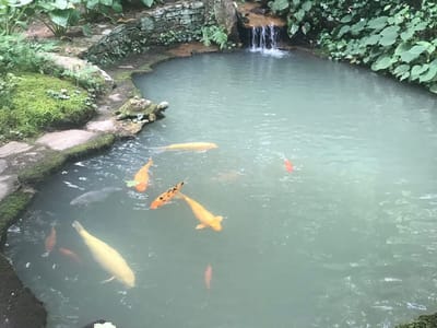 The Gift of Abundant Life