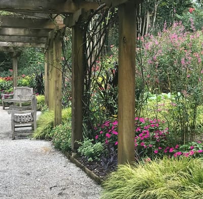 The Look That Gives Life