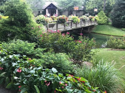 The True Bread From Heaven