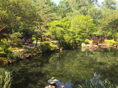 The Lord Who Provides For His People!