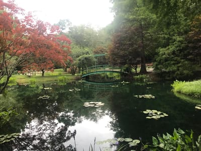 Everything We Need: Partaking of the Divine Nature!