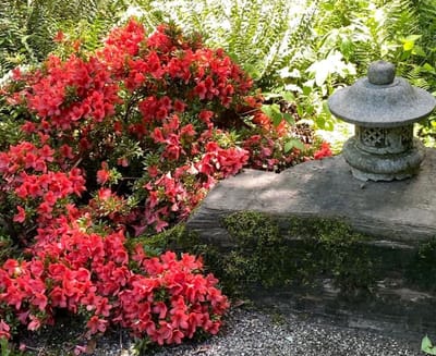 Overflow: Your Inheritance in His Presence!