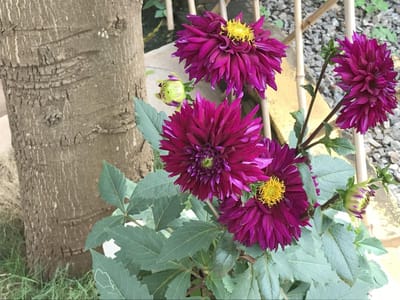 DIVINE INTERVENTION: Help From Heaven!