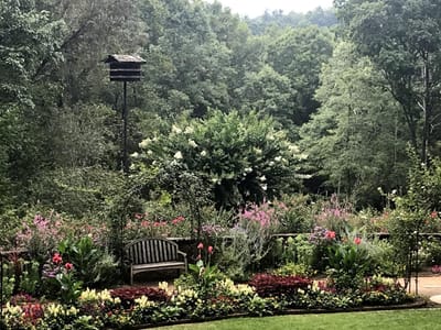 DIVINE ASSIGNMENT: Angels on Duty for You!