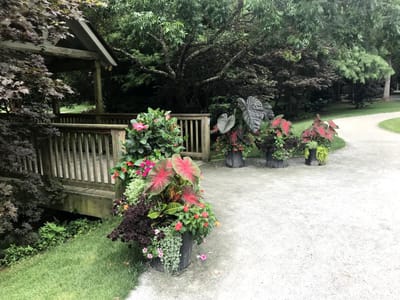 SURROUNDED BY FIRE: See the Angel Armies!