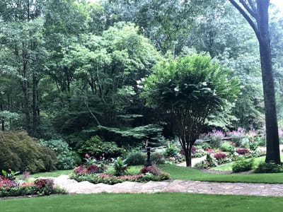 DIVINE ENCOUNTER: You Are in God’s Camp!