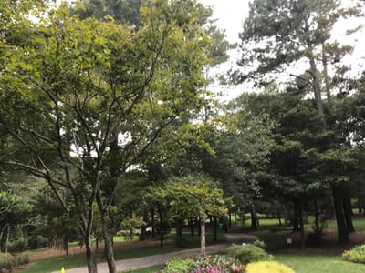 BELIEVERS CARRY THE MIRACLE-WORKING POWER OF JESUS!