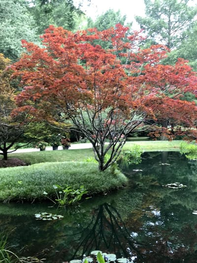 From Anxiety to Supernatural Peace!