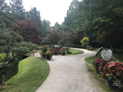 Don't Forget Your Benefits!