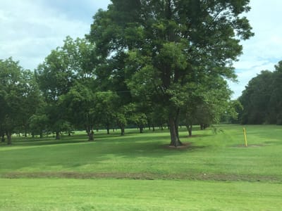 A Glimpse of Glory: Experiencing God's Tangible Presence