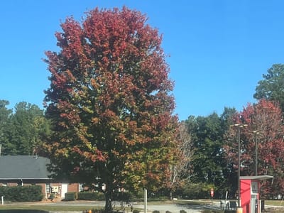 The God of Possibility!