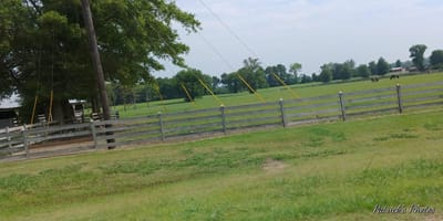 The Unchanging, Unwearying God of Miracles!