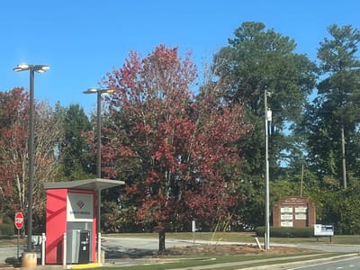 Healing: The Kingdom's Reality!