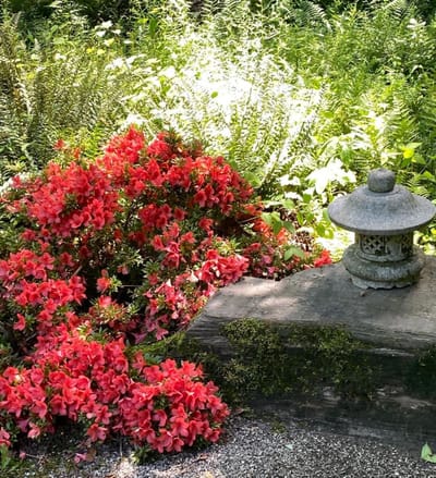 Divine Authority: Your Heavenly Mandate!