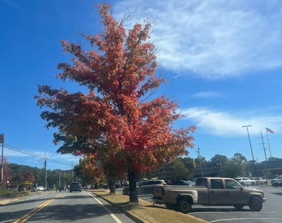 The Power to Raise the Dead!