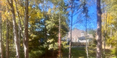 Solemn Assembly Day 5: The Heart of Miracles