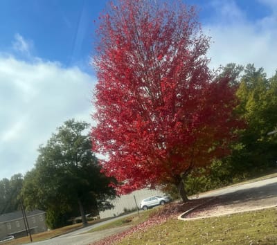 Solemn Assembly Day 6: The Faith That Moves God's Heart