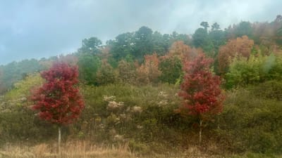 Solemn Assembly Day 9: Fasting for Prophetic Revelation