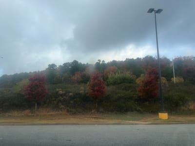 Solemn Assembly Day 10: Corporate Prayer Breaks Chains