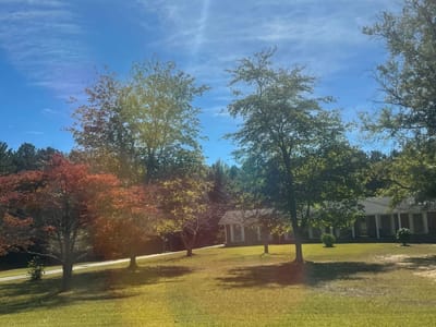 Solemn Assembly Day 13: Fasting—The Key to the "Impossible" Case