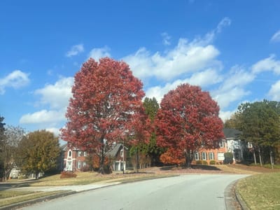 Solemn Assembly Day 14: Fasting for Favor and Deliverance