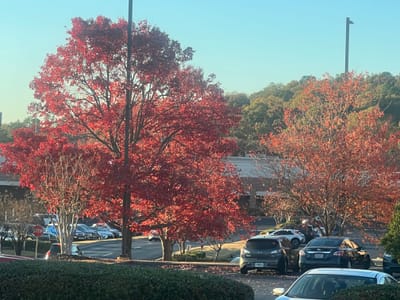 Solemn Assembly Day 19: God is Doing a New Thing