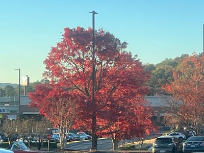 Solemn Assembly Day 20: The Posture of Desperate Pursuit